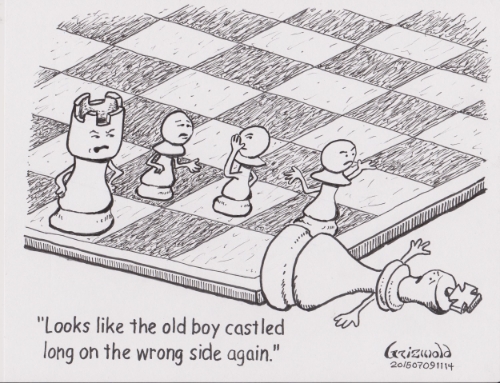  This cartoon is a re-draw of the original, which was published in Chess Life 2004 